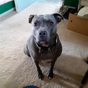 Meet your Posher, Sue